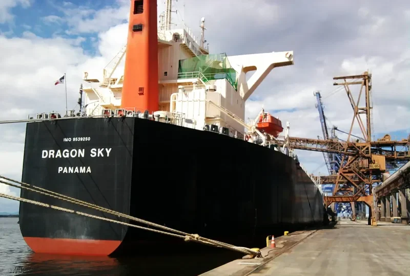 DRAGON SKY Bulk Carrier IMO 9539250