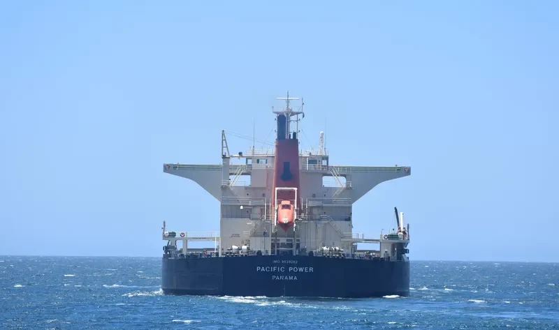 PACIFIC POWER Bulk Carrier IMO 9539262