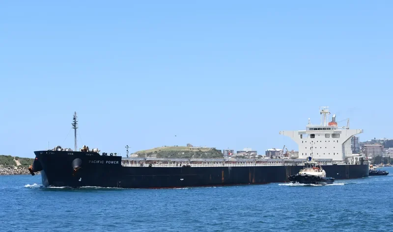 PACIFIC POWER Bulk Carrier IMO 9539262 photo 4