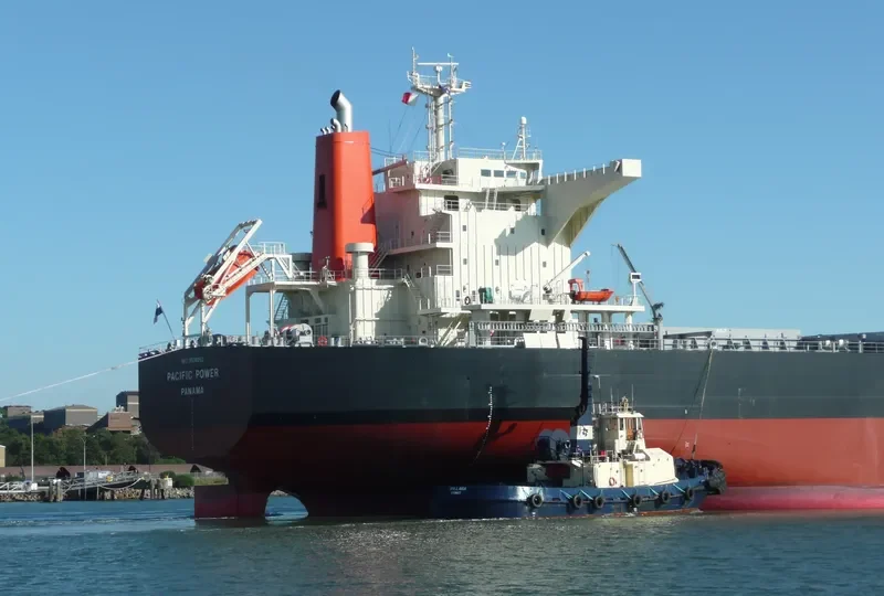 PACIFIC POWER Bulk Carrier IMO 9539262 photo 7