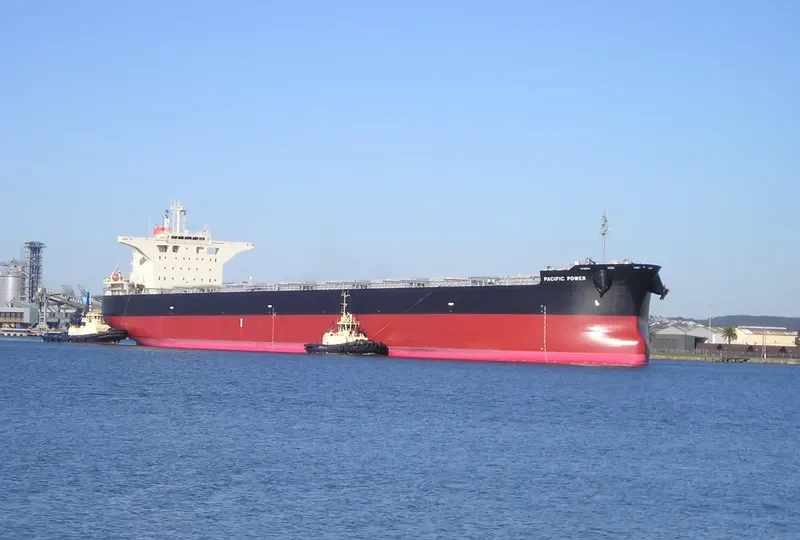 PACIFIC POWER Bulk Carrier IMO 9539262 photo 10