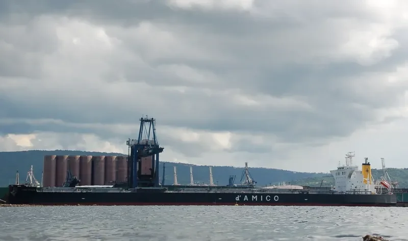 CIELO D ITALIA Bulk Carrier IMO 9539274 photo 3