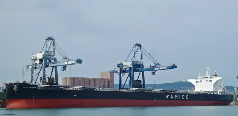 CIELO D ITALIA Bulk Carrier IMO 9539274 photo 4