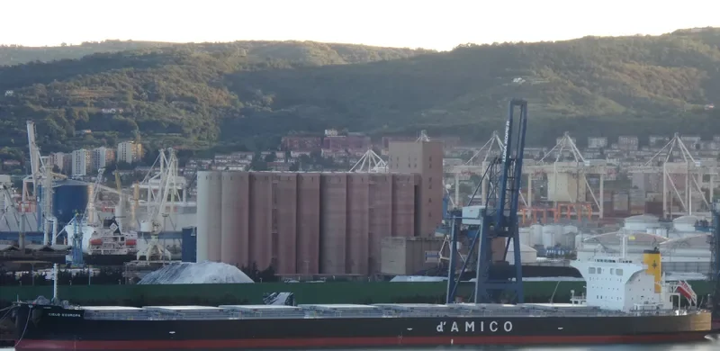 CIELO D EUROPA Bulk Carrier IMO 9539286 photo 5