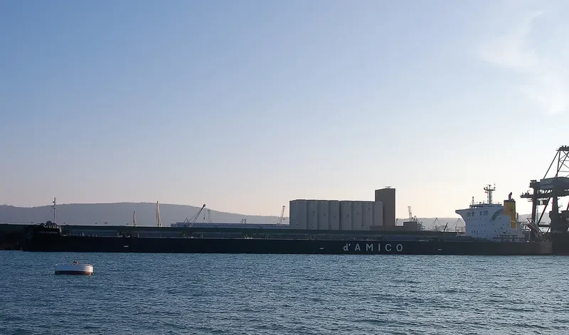 CIELO D EUROPA Bulk Carrier IMO 9539286 photo 7