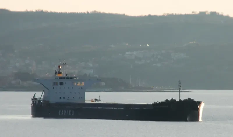 CIELO D EUROPA Bulk Carrier IMO 9539286 photo 10