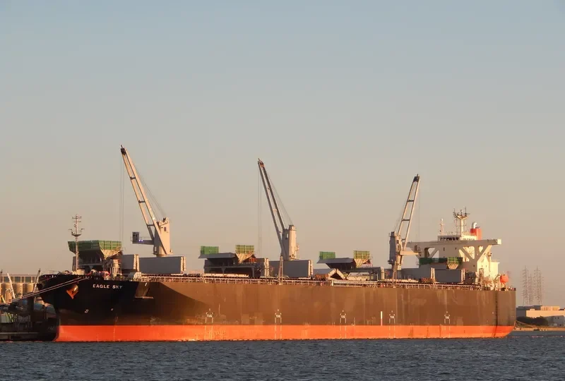 EAGLE SKY Bulk Carrier IMO 9539298 photo 3
