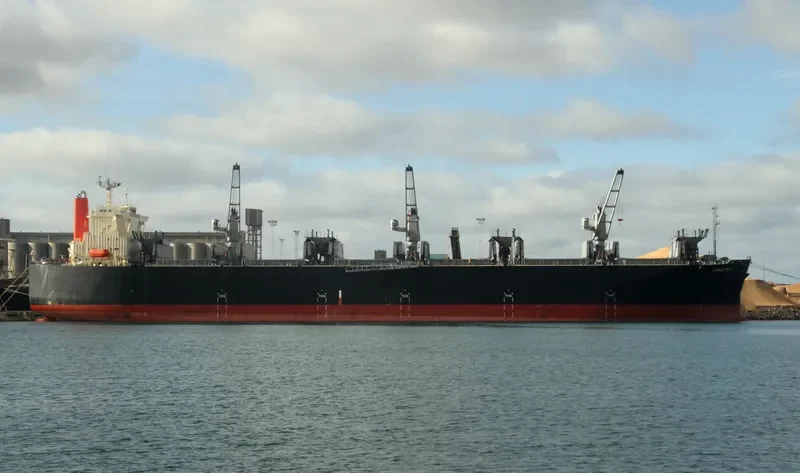 EAGLE SKY Bulk Carrier IMO 9539298 photo 4