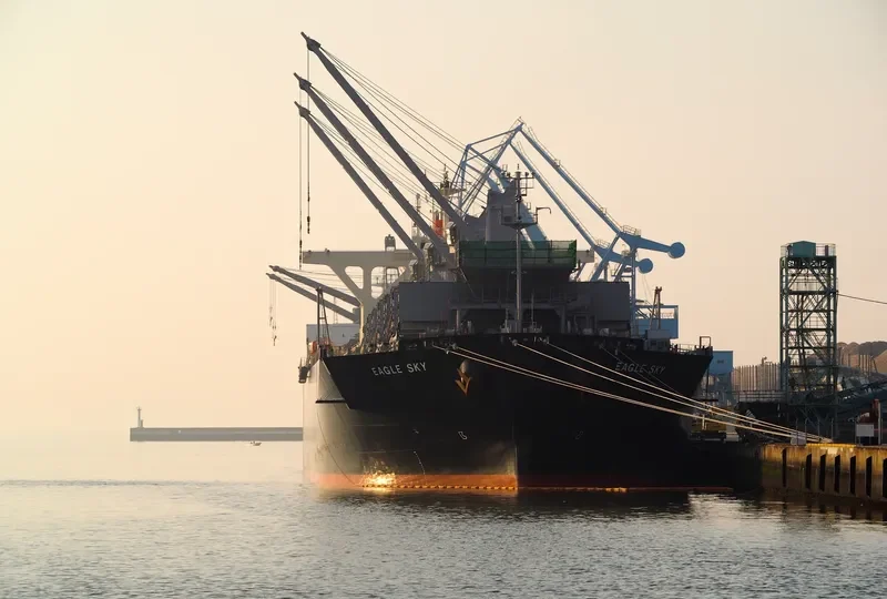 EAGLE SKY Bulk Carrier IMO 9539298 photo 7