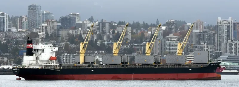 TEAM BRAVO Bulk Carrier IMO 9539341 photo 3