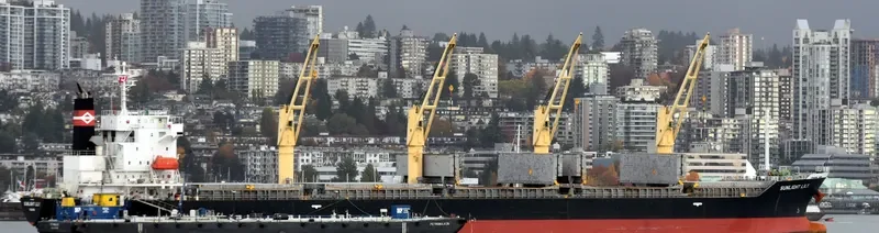 TEAM BRAVO Bulk Carrier IMO 9539341 photo 4