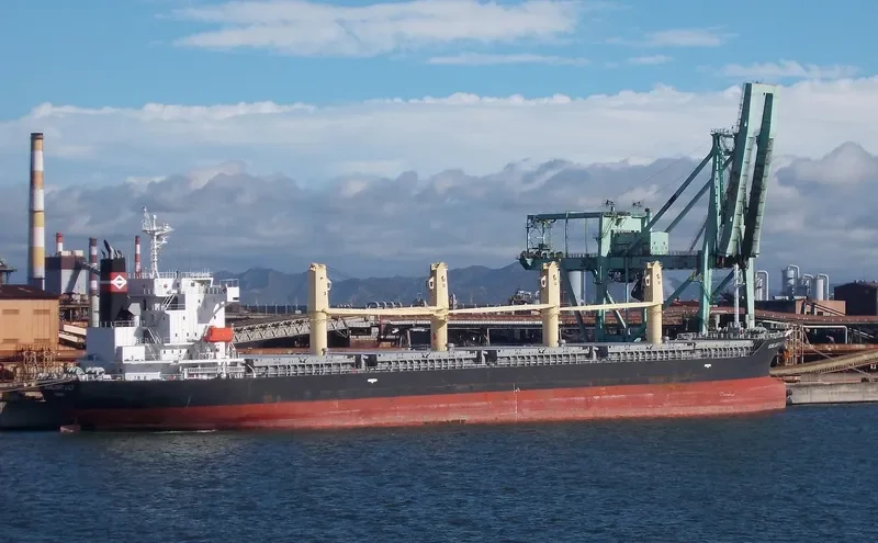 TEAM BRAVO Bulk Carrier IMO 9539341 photo 6
