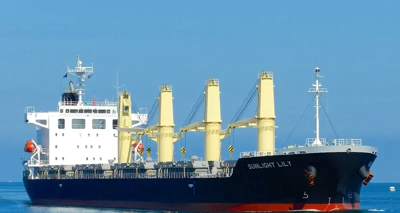 TEAM BRAVO Bulk Carrier IMO 9539341 photo 9