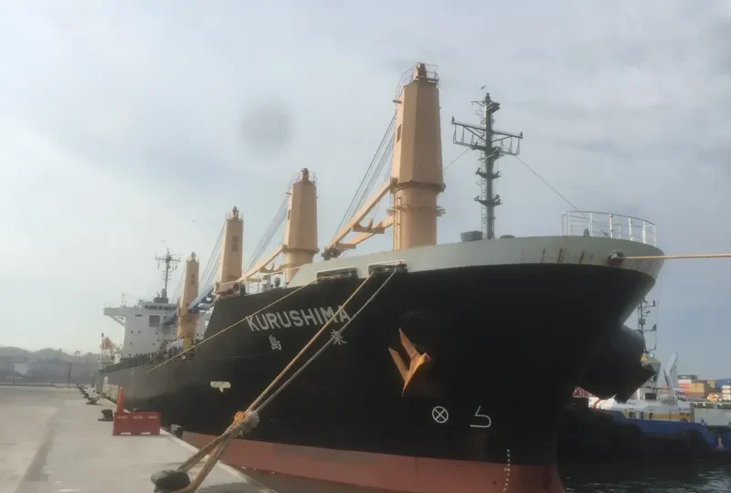 KURUSHIMA General Cargo IMO 9539353 photo 6