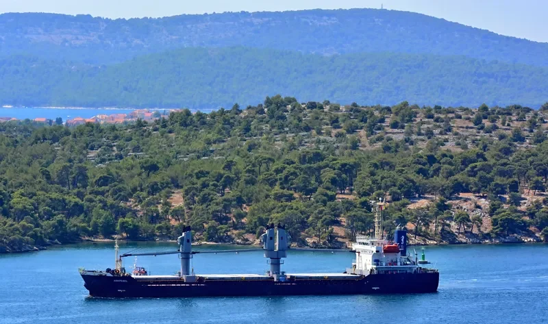 ADAPEARL Bulk Carrier IMO 9539432 photo 4