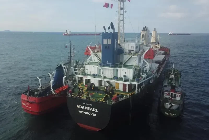 ADAPEARL Bulk Carrier IMO 9539432 photo 9