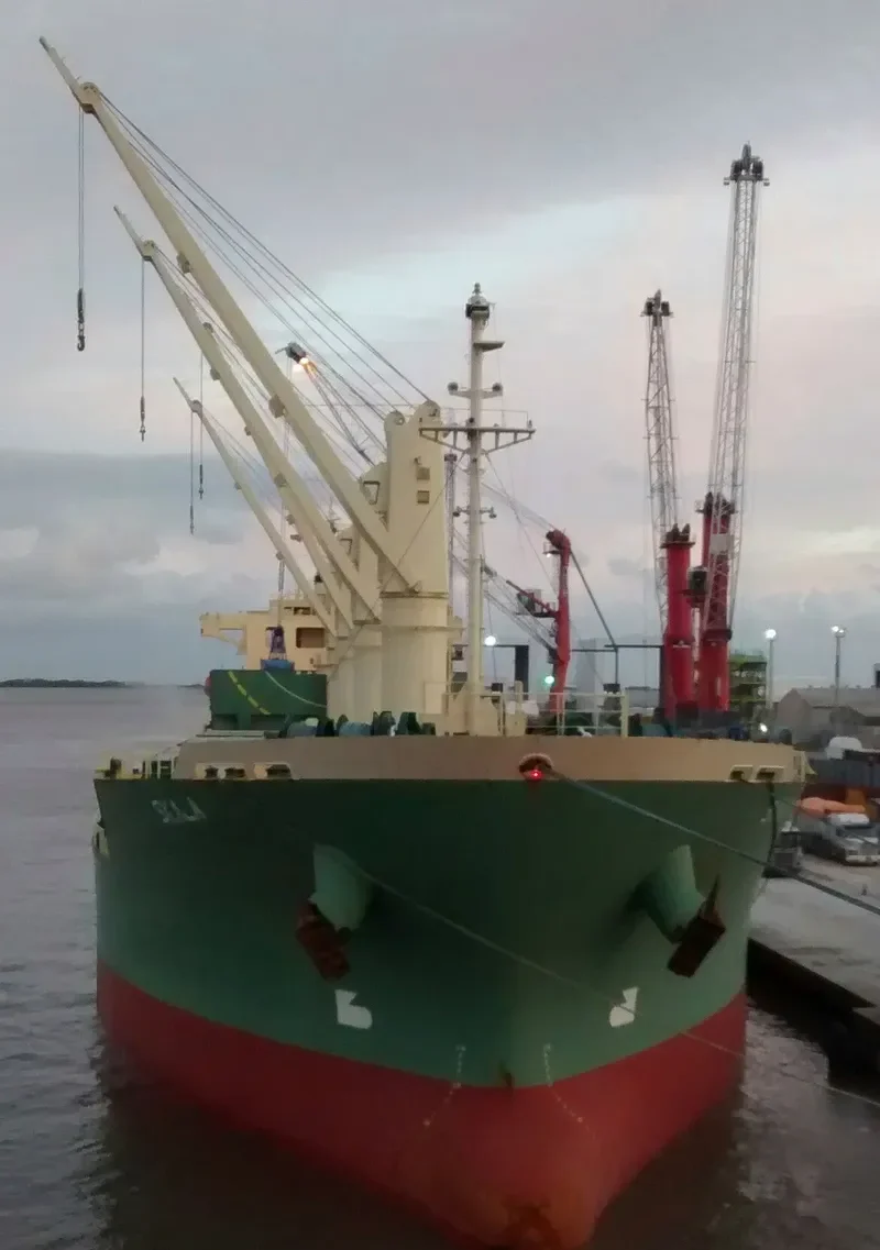 SKALA Bulk Carrier IMO 9539444 photo 8