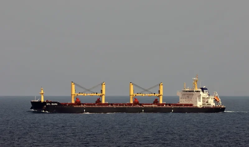 SFL SARA Bulk Carrier IMO 9539834