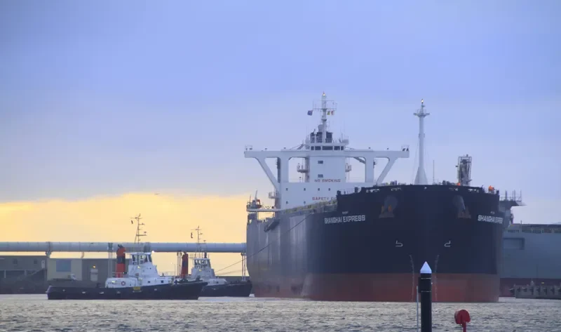 SHANGHAI EXPRESS Bulk Carrier IMO 9539963 photo 4