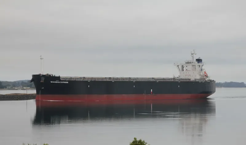 SHANGHAI EXPRESS Bulk Carrier IMO 9539963 photo 5