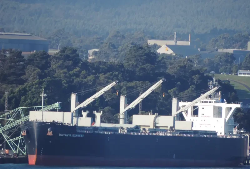 BATAVIA EXPRESS Bulk Carrier IMO 9539987 photo 3