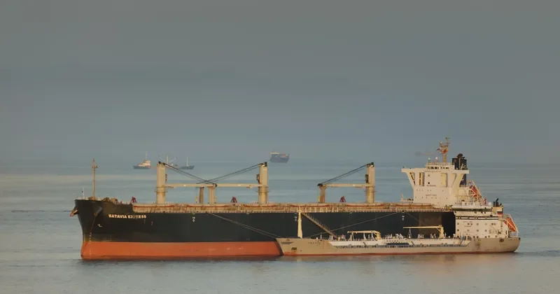 BATAVIA EXPRESS Bulk Carrier IMO 9539987 photo 7