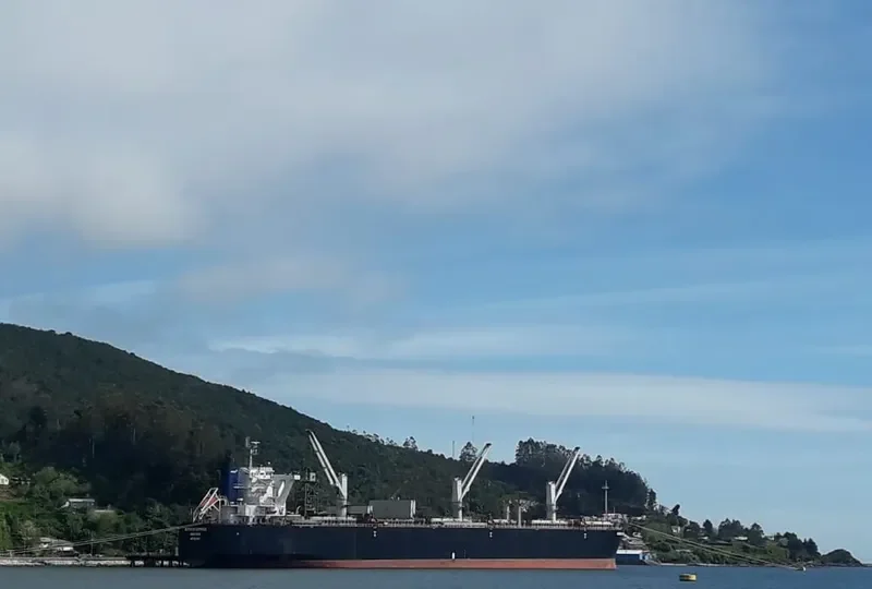 BATAVIA EXPRESS Bulk Carrier IMO 9539987 photo 9