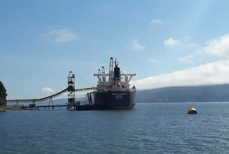 BATAVIA EXPRESS Bulk Carrier IMO 9539987 photo 10