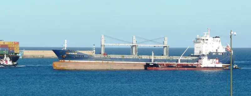 BULK FLOWER Bulk Carrier IMO 9540168