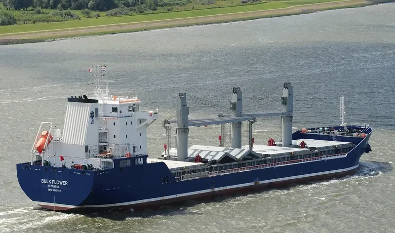 BULK FLOWER Bulk Carrier IMO 9540168 photo 2