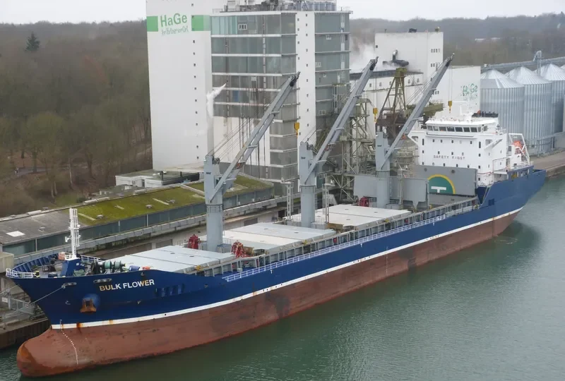 BULK FLOWER Bulk Carrier IMO 9540168 photo 5