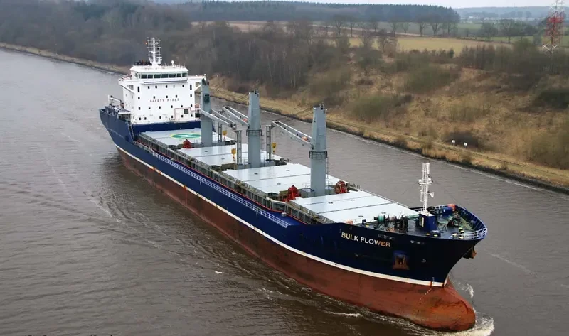 BULK FLOWER Bulk Carrier IMO 9540168 photo 8