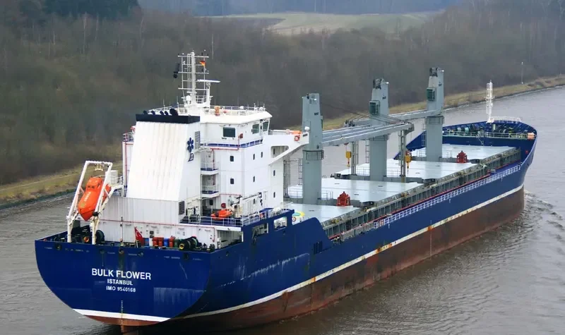 BULK FLOWER Bulk Carrier IMO 9540168 photo 9