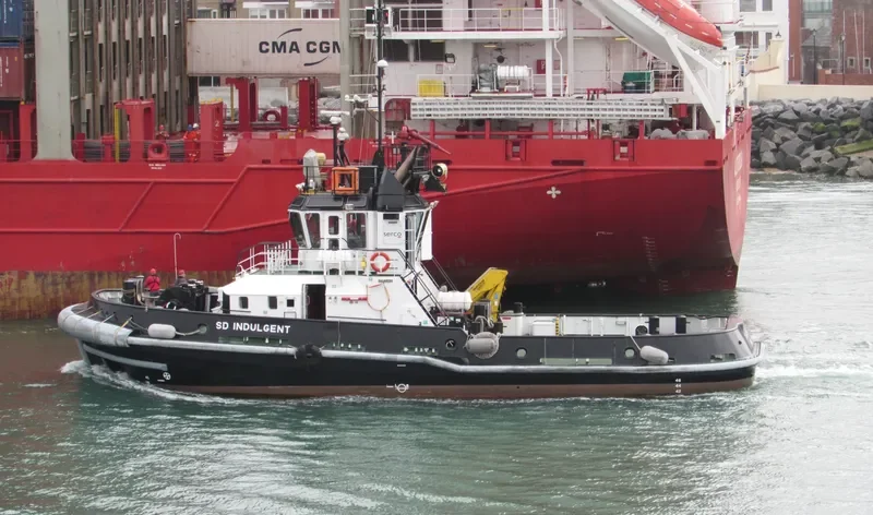 SD INDULGENT General Cargo IMO 9540285 photo 10