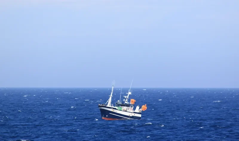 BLSBJERG General Cargo IMO 9540297 photo 5