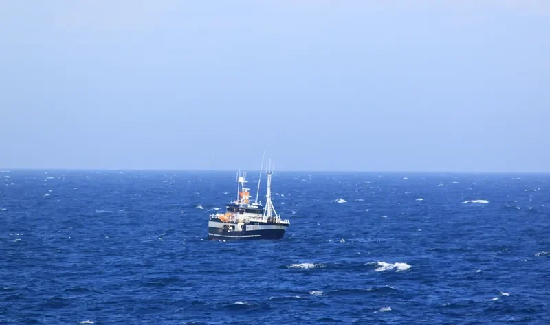 BLSBJERG General Cargo IMO 9540297 photo 6