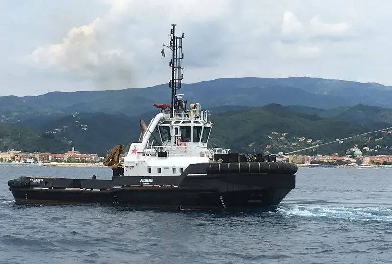PALMARIA General Cargo IMO 9540388 photo 4