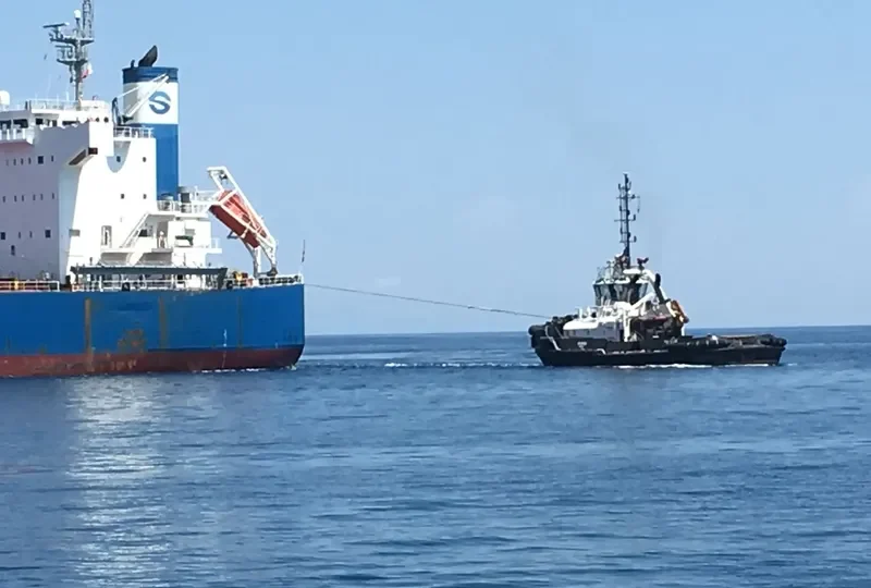 PALMARIA General Cargo IMO 9540388 photo 5