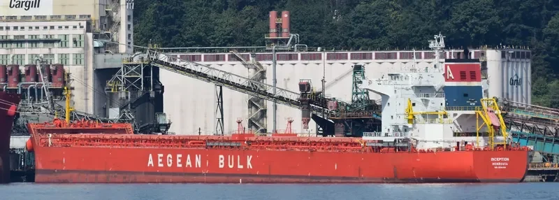 INCEPTION Bulk Carrier IMO 9540481