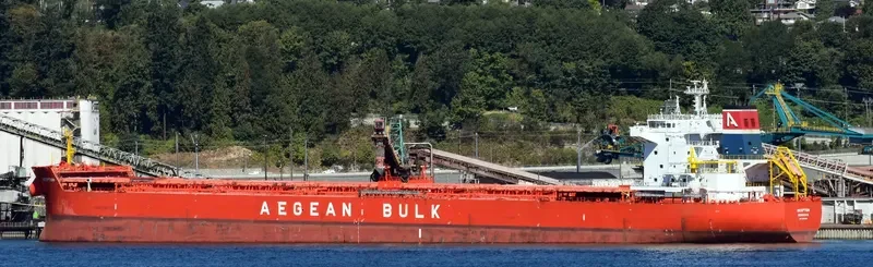 INCEPTION Bulk Carrier IMO 9540481 photo 3