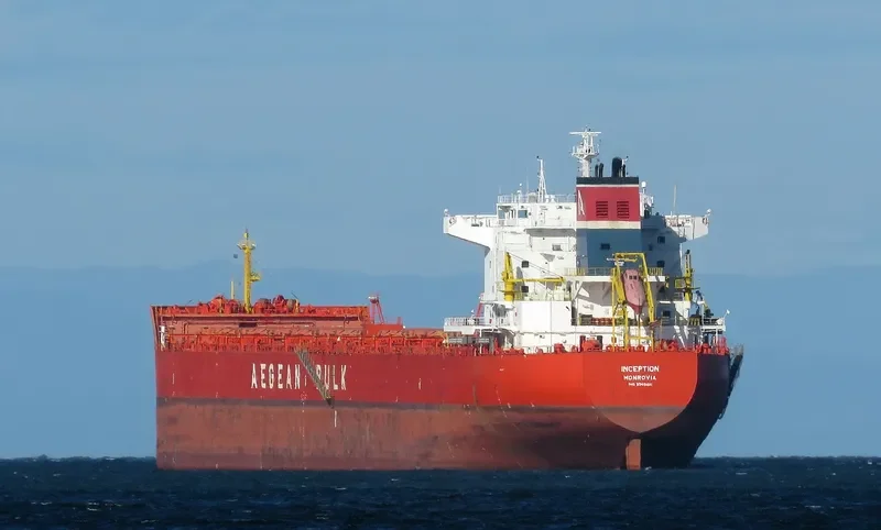 INCEPTION Bulk Carrier IMO 9540481 photo 4
