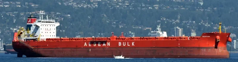 INCEPTION Bulk Carrier IMO 9540481 photo 6