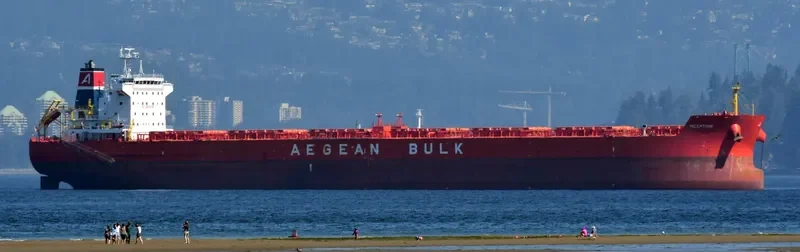 INCEPTION Bulk Carrier IMO 9540481 photo 7
