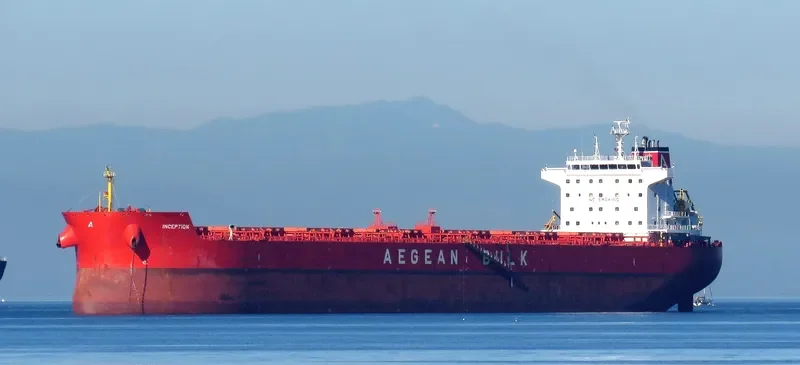 INCEPTION Bulk Carrier IMO 9540481 photo 8