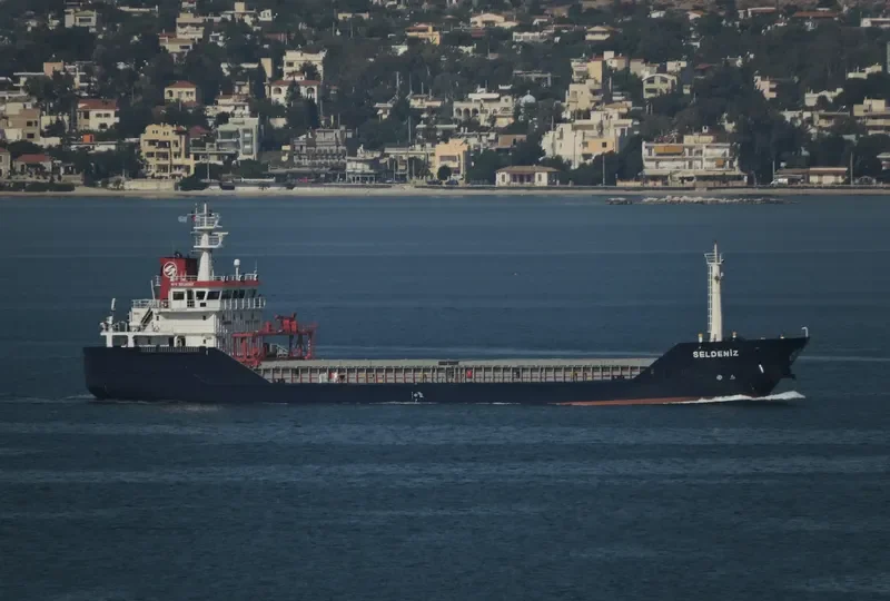 SELDENIZ General Cargo IMO 9540601 photo 9