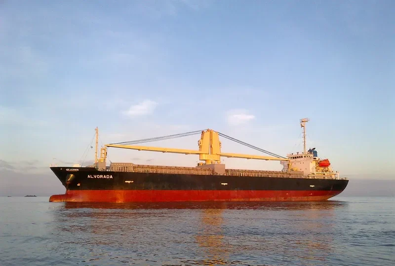 VIOLET ACE General Cargo IMO 9540728 photo 9