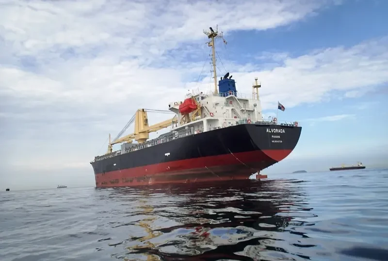 VIOLET ACE General Cargo IMO 9540728 photo 10