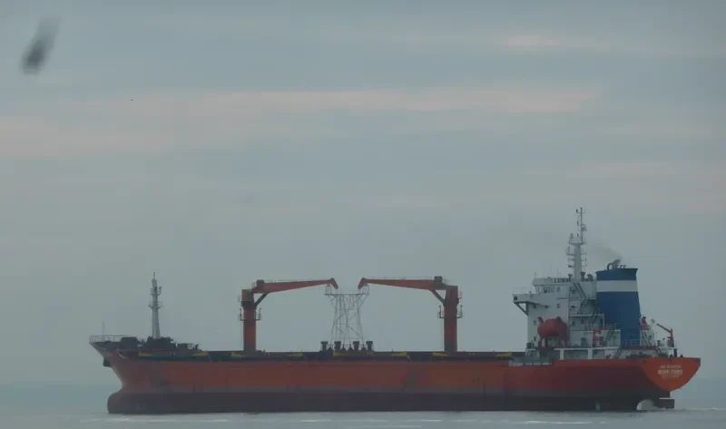 JINGANG MOUNTAIN General Cargo IMO 9540730 photo 9