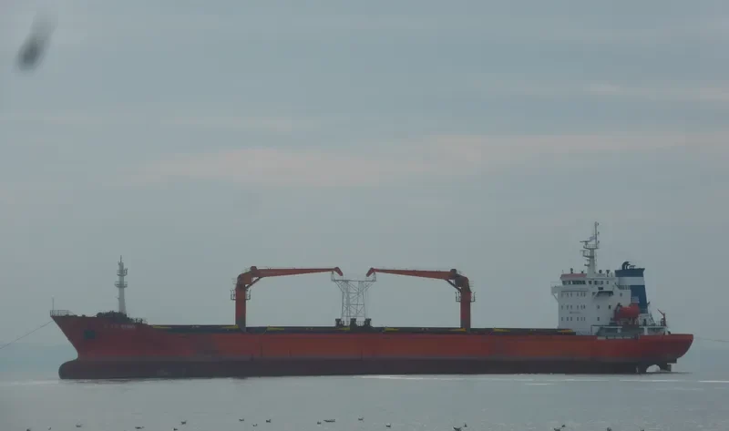 JINGANG MOUNTAIN General Cargo IMO 9540730 photo 10