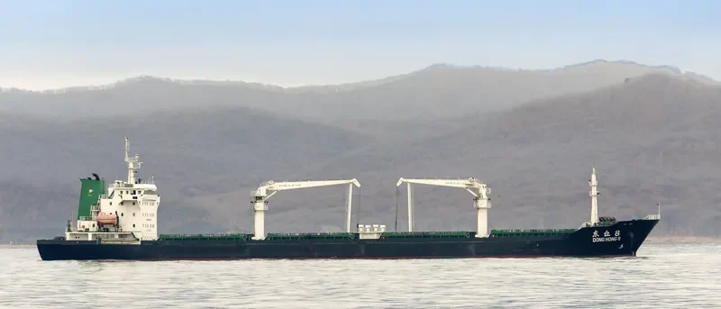 DONGHONG 8 General Cargo IMO 9540742 photo 3